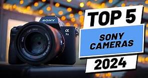 Top 5 BEST Sony Cameras in (2024)