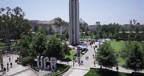 University of California Riverside Overview