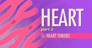The Heart, Part 2 - Heart Throbs: Crash Course Anatomy & Physiology #26