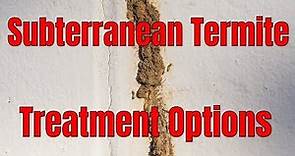 Subterranean Termite Control Treatment Options 🧐 Make the Right Choice for You