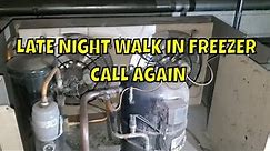 LATE NIGHT WALK IN FREEZER CALL AGAIN