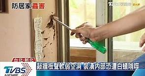 TVBS新聞媒體報導白蟻清除『如何防範白蟻與自我檢視』潔適能除白蟻防治公司0800-775-000