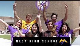 Mesa High School