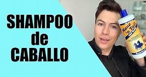 SHAMPOO DEL CABALLO PARA CRECER EL PELO ¿SIRVE? | YASMANY .
