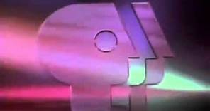 PBS/Public Broadcasting Service Logo 1993-1996