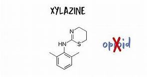 Xylazine 101