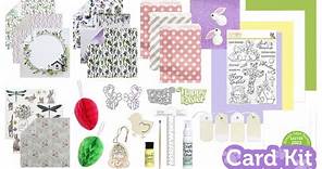 NEW Kit PLUS 8+ Ideas for Spring Crafting! Reveal and Inspiration: Limited Edition Sweet Tweets 2023
