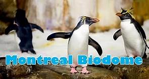 Exploring the Montreal Biodome: A Walking Tour