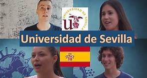 Comentarios sobre la Universidad de Sevilla, parte 1