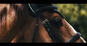 Stronger - Horse Music Video