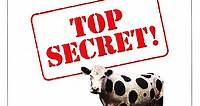 Top Secret! (Cine.com)