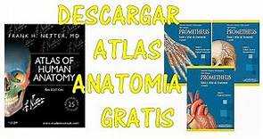 DESCARGAR ATLAS ANATOMIA GRATIS | PROMETHEUS Y NETTER | COMPLETOS | PDF