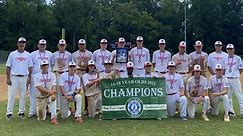 Stafford 16-18 All-Stars have Historic Win in Southeast Babe Ruth League Championship