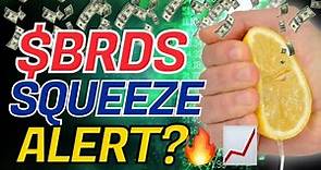 BRDS STOCK: RACE AGAINST TIME! MUST WATCH! 🚨🔥($BRDS)