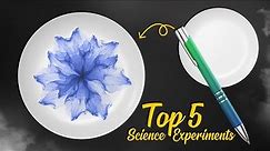 Easy and Mind-Blowing: Try These 5 Amazing Science Experiments at Home