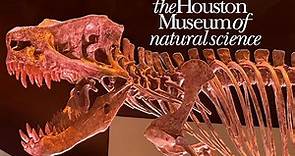 Houston Museum Of Natural Science Tour & Review with The Legend