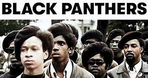 The Black Panthers - A Quick History