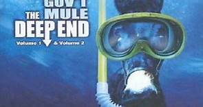 Gov't Mule - Soulshine(Hidden Treasures) - The Deep End Vol. 1