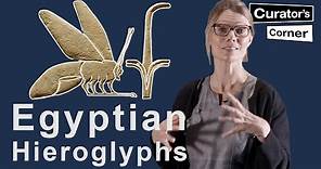 Learn how to read Ancient Egyptian Hieroglyphs with Ilona Regulski | Curator's Corner S7 E11