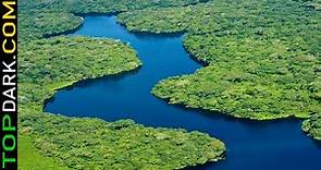 23 Datos y Curiosidades Sobre la Selva Amazónica