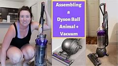 Dyson Ball Animal 2 Vacuum Assembly