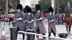 Changing of the Guard at Buckingham Palace London, UK. (19.01.2014)