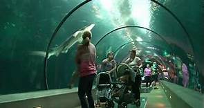 The Amazing Oregon Coast Aquarium!