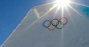 Sochi 2014 Winter Olympics - Athletes, Medals & Results