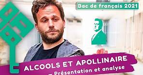 Alcools d'Apollinaire : présentation du recueil, biographie, modernité poétique - Bac français 2024