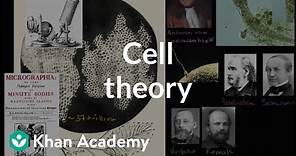 Cell theory | Structure of a cell | Biology | Khan Academy