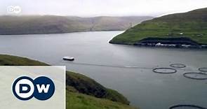 Faroe Islands between West and East | Focus on Europe