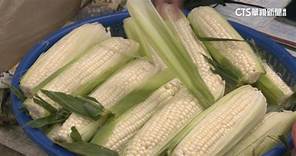 第一果菜市場　頂級爆汁「白龍王」玉米竟被偷