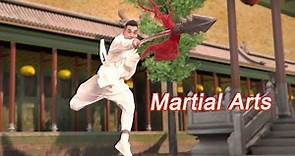 Martial Arts performed by kung fu star Vincent Zhao Wenzhuo | 2023 CMG Spring Festival Gala