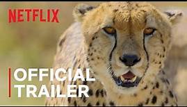 Animal | Official Trailer | Netflix