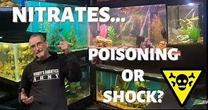 NITRATES...Poisoning Or Shock? How to Reduce Nitrates