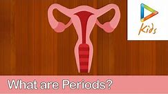 What Is Periods? Simple Understanding Of Menstrual Cycle | Stages Of Periods