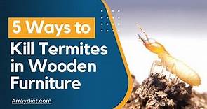 How to Get Rid of Termites From Your Wooden Furniture (Pest Control)