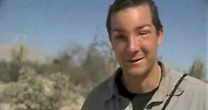 Bear Grylls Allergic to Bees