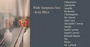 Wide Sargasso Sea by Jean Rhys (Summary & Analysis of the novel)
