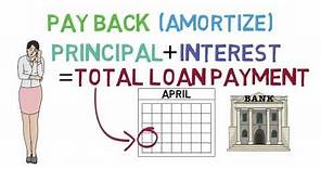 Loans 101 (Loan Basics 1/3)