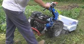 BCS walk-behind tractor (flail mower) pulverizing weeds/brush