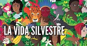 Día Mundial de la Vida Silvestre | 3 de marzo | Atlanix