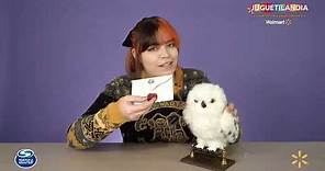 Hedwig Interactivo