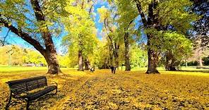 Fitzroy Gardens and Treasury Gardens In Autumn. Melbourne Walking Tour 4k