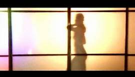 Armand van Helden - The Funk Phenomena (Official Video)