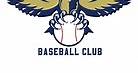 Hawks Baseball Club | Indianapolis, IN 46221 | Youth Select & Showcase Travel Sports Teams