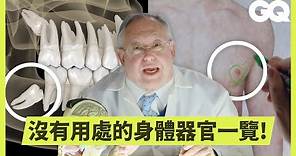 人為什麼要有智齒、闌尾？生物學教授解釋從頭到腳各種「無用處」人體器官｜科普長知識｜GQ Taiwan