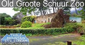 Old Groote Schuur Zoo | Table Mountain Live Stream