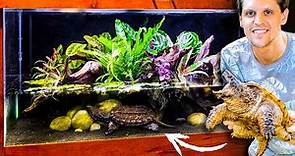 Rare Hybrid Snapping Turtle Planted Paludarium (Only 50 in the World)