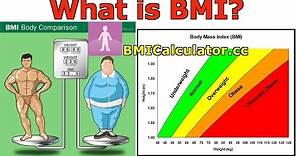 BMI (Body Mass Index) Introduction, History and BMI Calculator